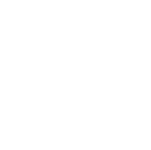 Paramount+ SERIES